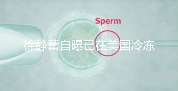 徐靜蕾自曝已在美國冷凍卵子!坦言將來會(huì)做試管嬰兒