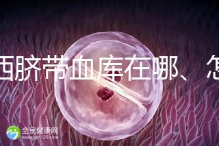 山西臍帶血庫(kù)在哪、怎么保存答案在這，太原存20年費(fèi)用竟…