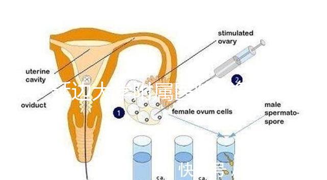 延邊大學附屬醫院試管怎么樣，助孕成功率、收費目錄表奉上