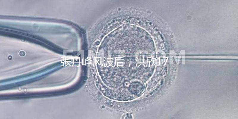 張丹峰風波后，洪欣17歲兒子表白媽媽一家人疑似和好如初