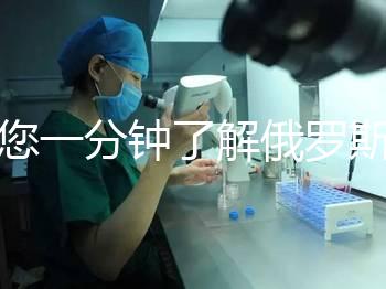 帶您一分鐘了解俄羅斯試管中心的費(fèi)用明細(xì)，快速收集！