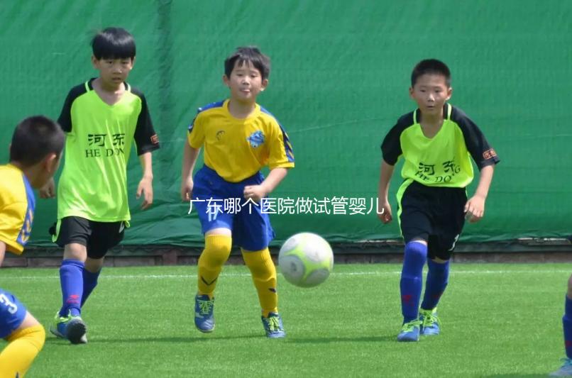 廣東哪個醫院做試管嬰兒技術好，成功率高，我今年45歲，今年在浙江做了兩次都不成功，都是8細胞一級。