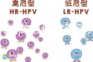 廣東能做三代試管嬰兒醫院是哪三家？附名單及優勢
