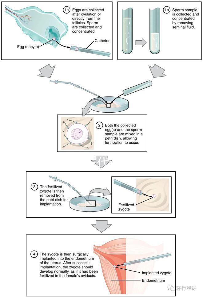 廣東10家三代試管醫院的熱度排名！