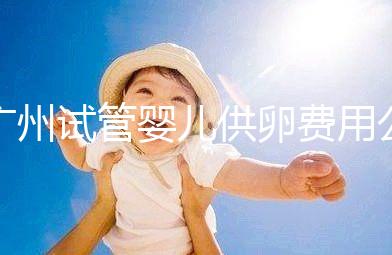 廣州試管嬰兒供卵費(fèi)用公布,中山一院6萬(wàn)不看情況