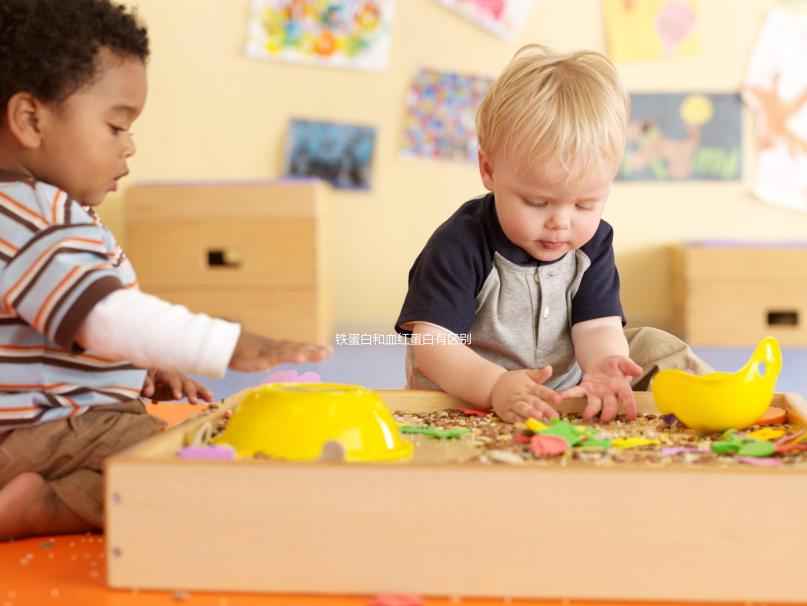 鐵蛋白和血紅蛋白有區(qū)別!通過這2點可詳細區(qū)分