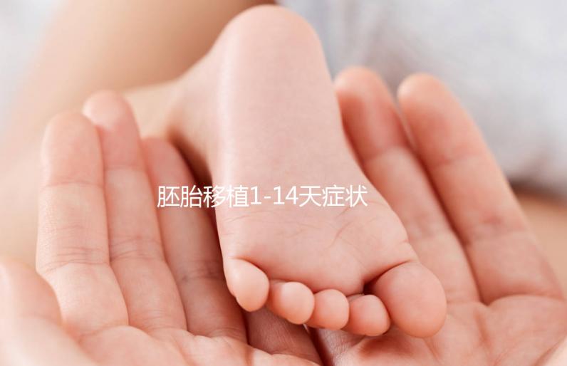 胚胎移植1-14天癥狀變化圖（附各個階段的身體感覺）