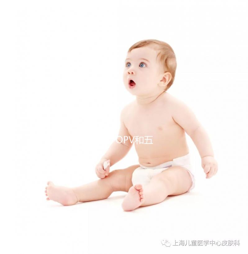 脊灰IPV、OPV和五聯疫苗對比，選擇哪種參考這4個方案