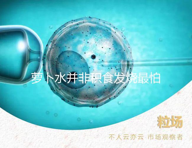 蘿卜水并非積食發(fā)燒最怕的1種水，天天煮這些喝胃口倍棒