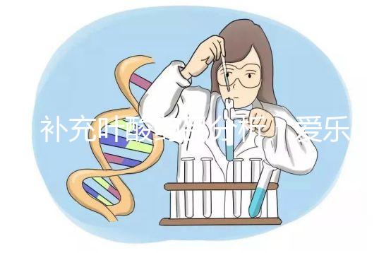 補充葉酸藥品分析：愛樂維和斯利安哪個孕期更需？