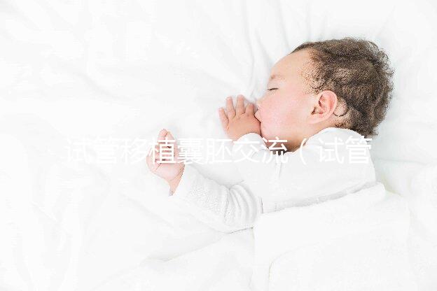 試管移植囊胚交流（試管 囊胚移植）