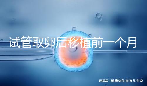 試管取卵后移植前一個(gè)月牙痛，可以去拔牙嗎？