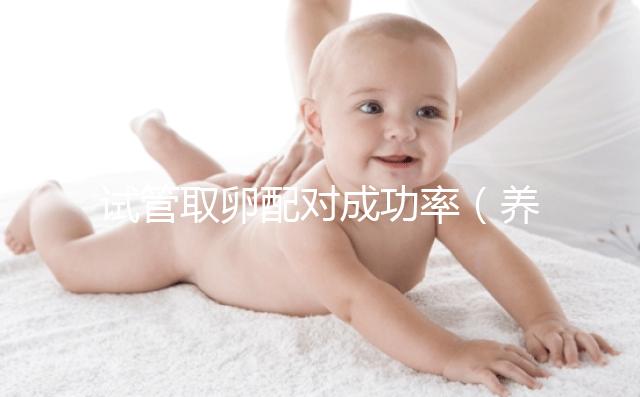 試管取卵配對成功率（養(yǎng)囊胚和凍胚哪個成功率高）