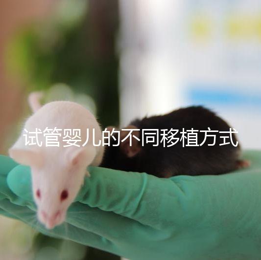 試管嬰兒的不同移植方式有哪些？