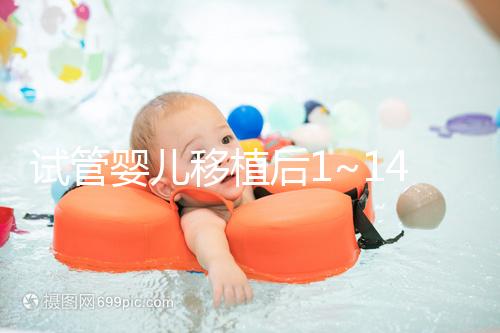 試管嬰兒移植后1~14天反應(yīng)