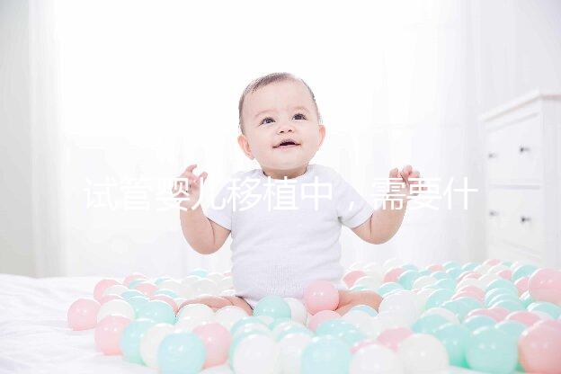 試管嬰兒移植中,需要什么樣的子宮內膜條件?