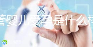 試管嬰兒受孕是什么樣的原理呢？