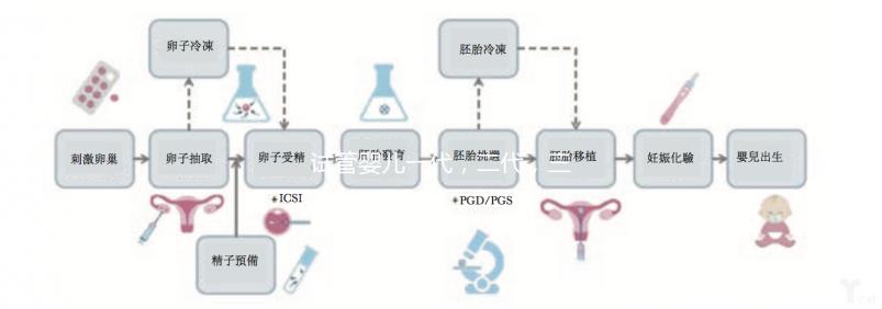 試管嬰兒一代,二代,三代有什么區(qū)別嗎,應該如何選擇?