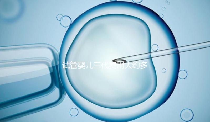 試管嬰兒三代費用大約多少?