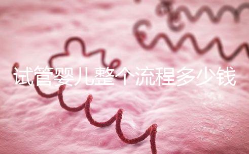 試管嬰兒整個(gè)流程多少錢(qián)（試管嬰兒整個(gè)流程多少錢(qián)啊）