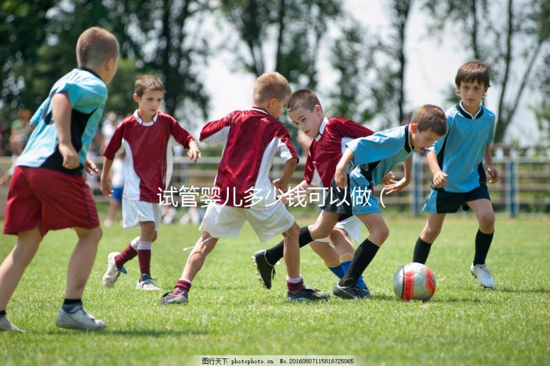 試管嬰兒多少錢可以做（試管嬰兒多少錢可以做性別嗎）