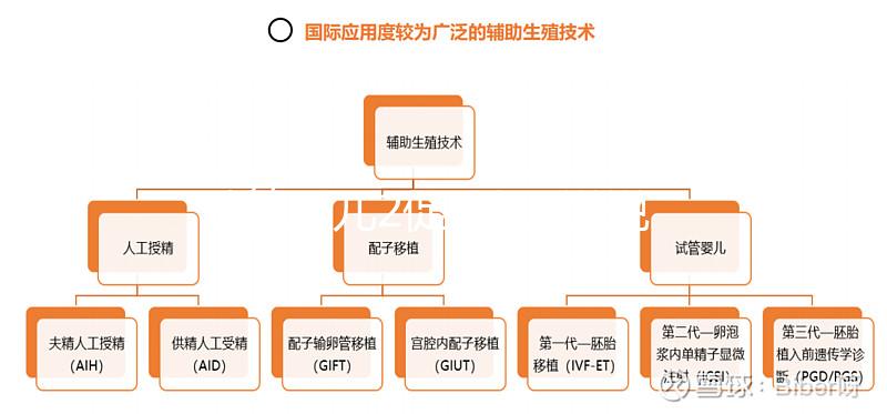 試管嬰兒2促3移，說說5點我的成功懷孕經驗