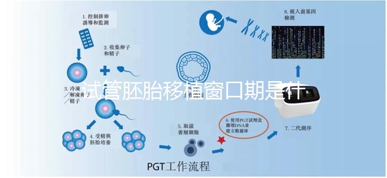 試管胚胎移植窗口期是什么？如何選對時(shí)機(jī)？