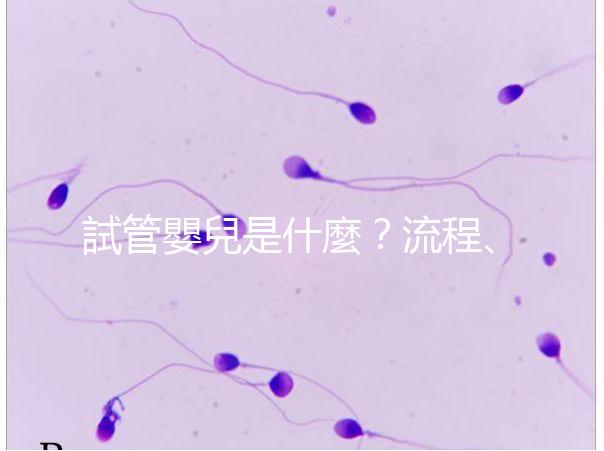 試管嬰兒是什麼?流程、費用、補助及人工受孕差異全解析!
