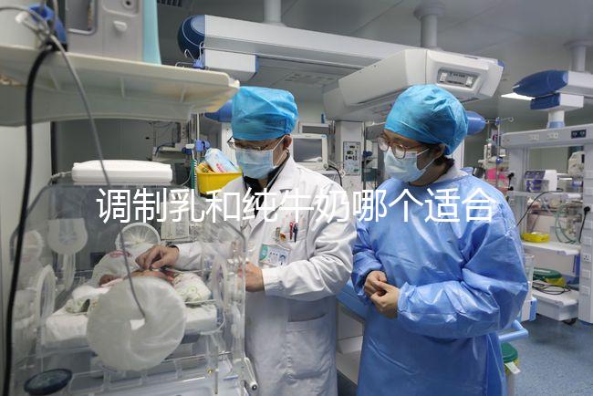 調制乳和純牛奶哪個適合7歲孩子答案在這,二者區別了解下