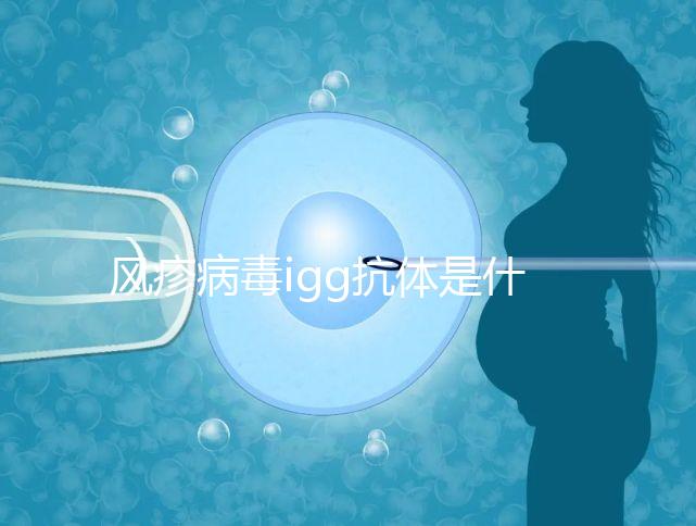 風(fēng)疹病毒igg抗體是什么,其實(shí)這就是基本懷孕條件