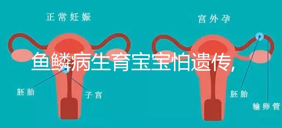 魚鱗病生育寶寶怕遺傳,第三代試管嬰兒基因篩查技術助好孕