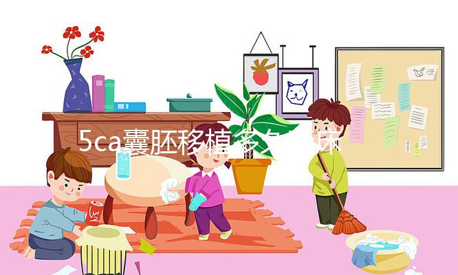 5ca囊胚移植多久著床、有何反應答案來了，第8天白板要警惕