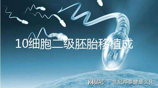 10細(xì)胞二級(jí)胚胎移植成功率解析，應(yīng)不應(yīng)該養(yǎng)囊答案在這