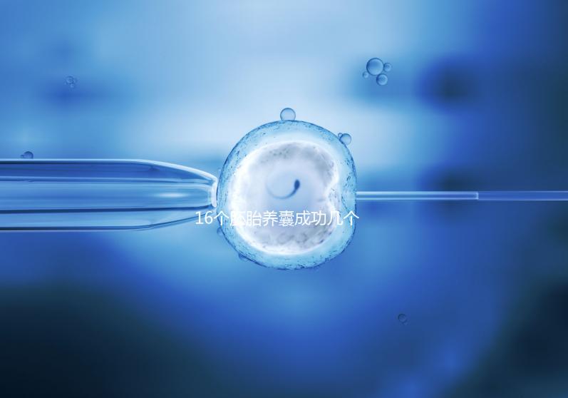 16個(gè)胚胎養(yǎng)囊成功幾個(gè)說不準(zhǔn)，11個(gè)概率高不高真不一定