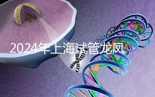 2024年上海試管龍鳳胎價格明細表公布，一次準備3萬元就夠了