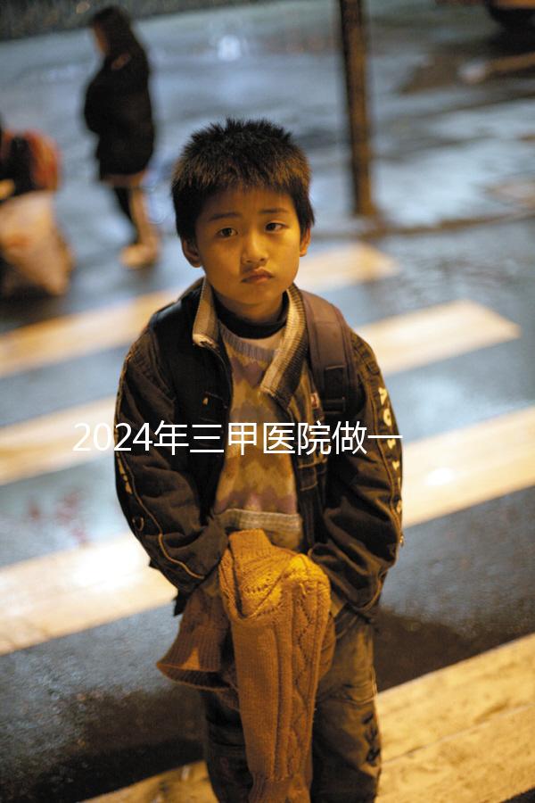 2024年三甲醫(yī)院做一次試管嬰兒需要多少錢？