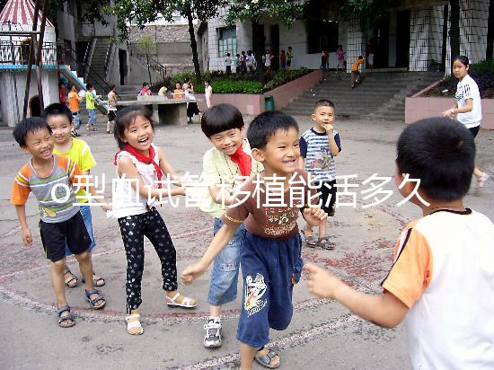 o型血試管移植能活多久？壽命長的關鍵在于這些點