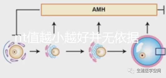 nt值越小越好并無依據(jù)，孩子聰明與否可不能這么判斷