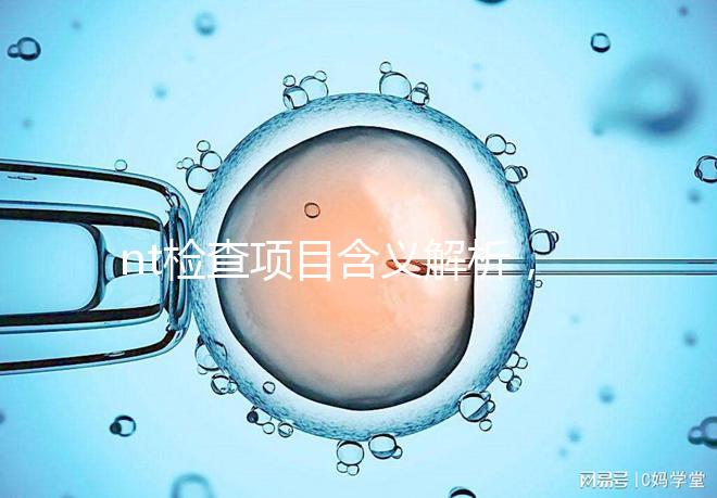 nt檢查項(xiàng)目含義解析，每個(gè)內(nèi)容都相當(dāng)重要